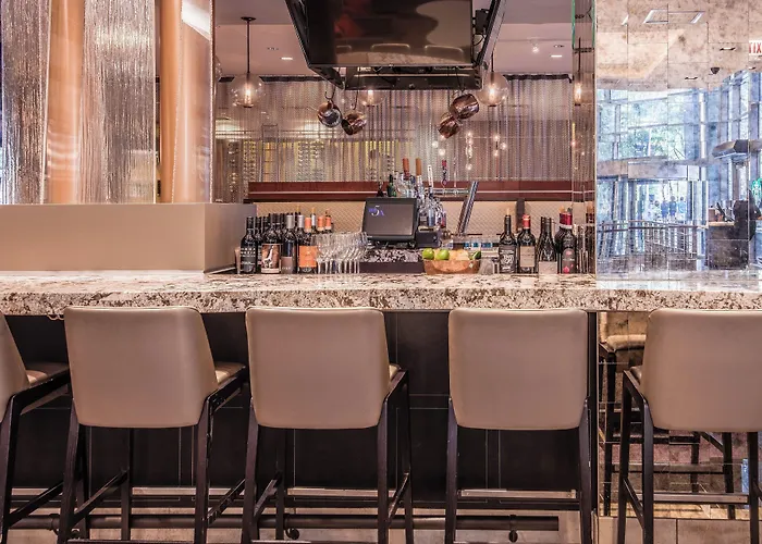 Courtyard By Marriott Downtown/magnificent Mile Chicago